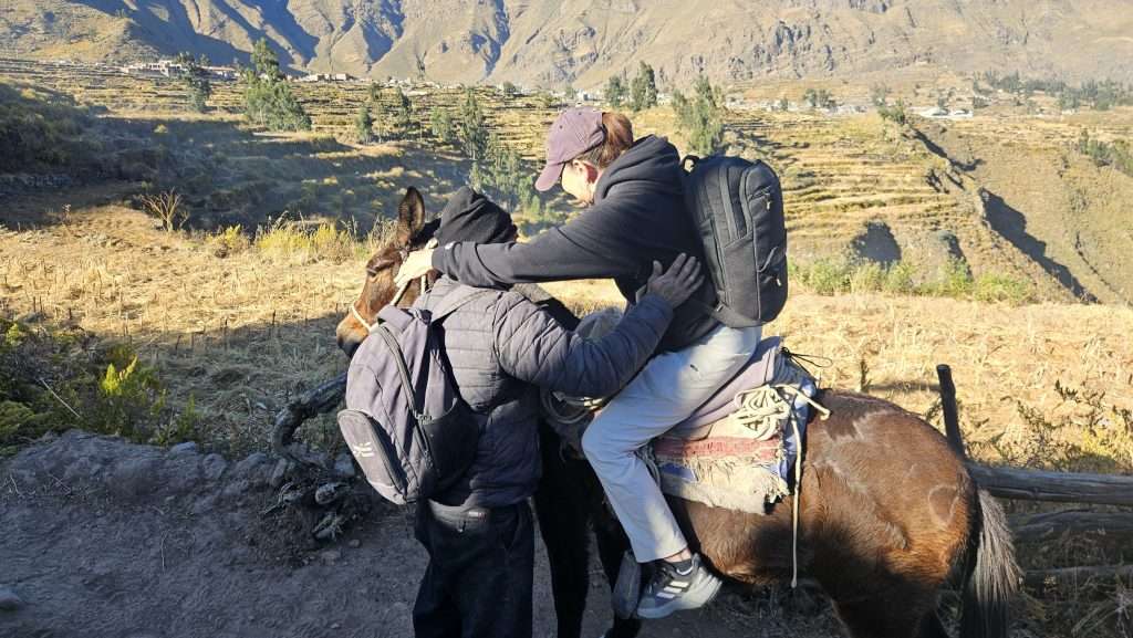 Deb getting off a mule